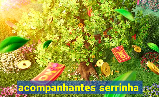 acompanhantes serrinha